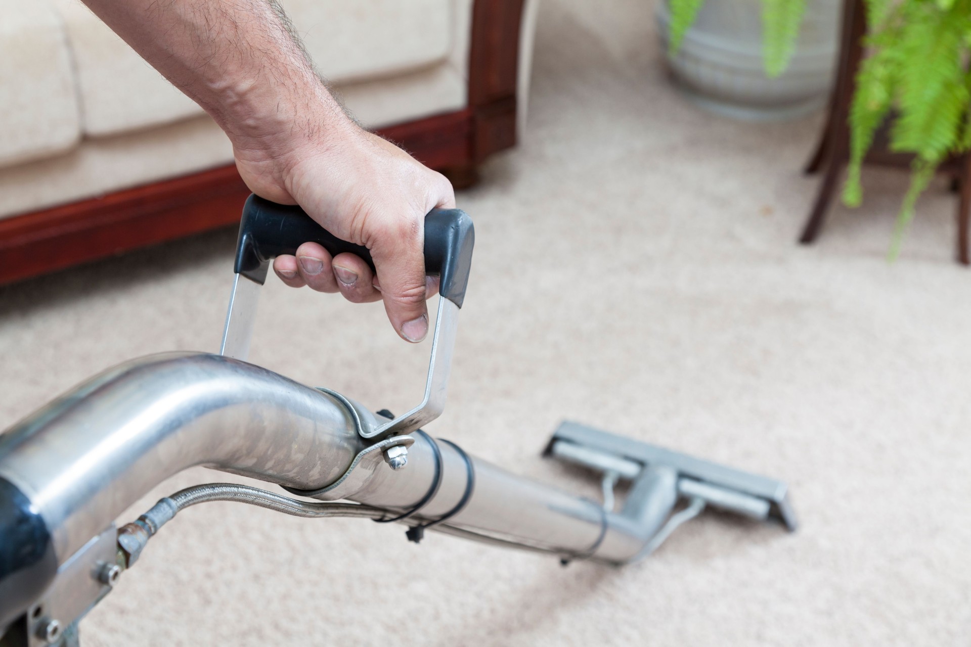 Steam Cleaning Carpets