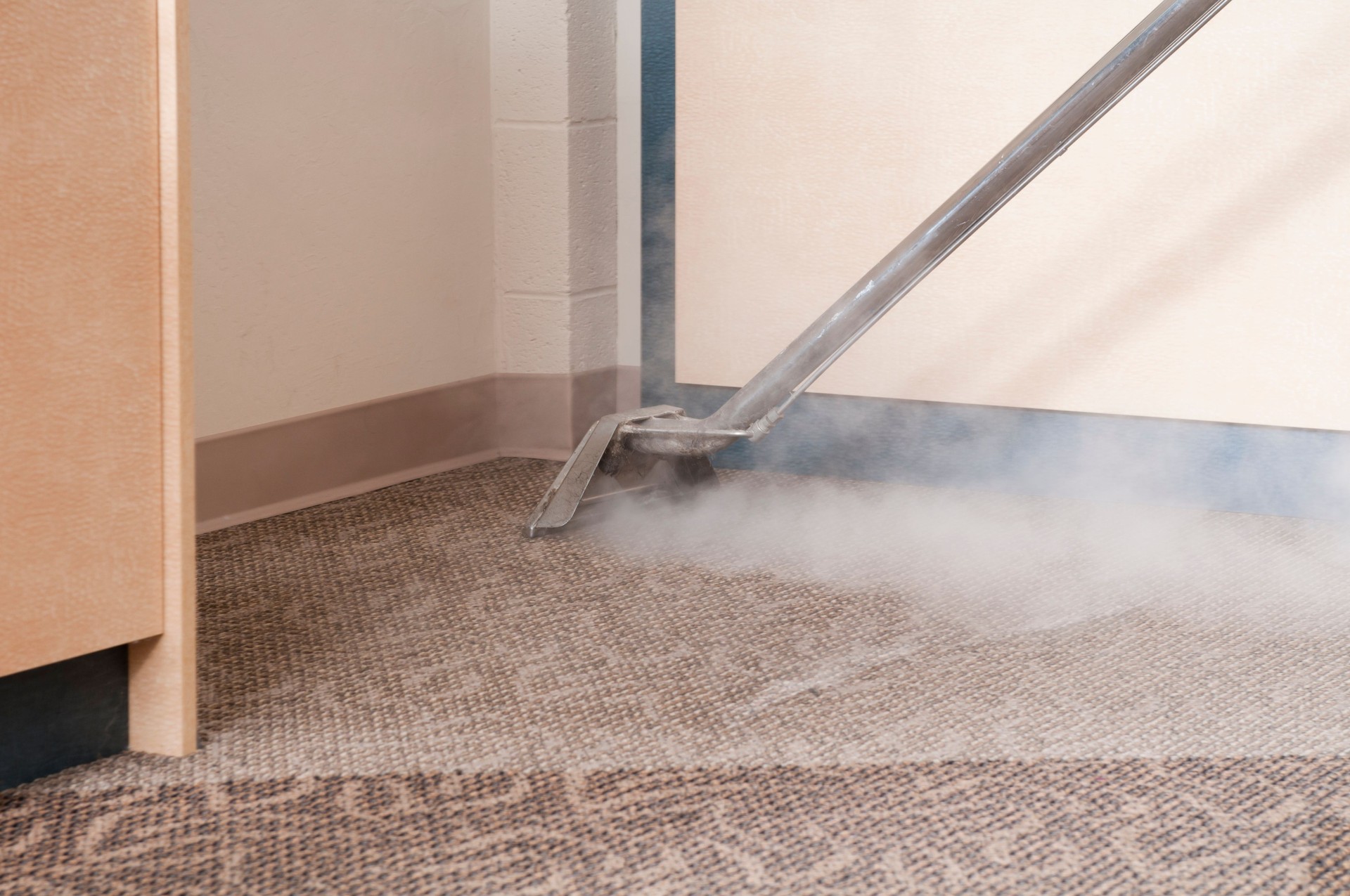 Professional Carpet Cleaning - Steam Cleaning